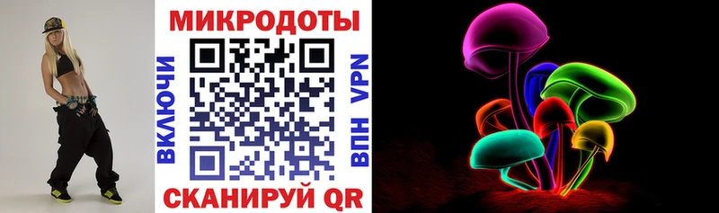 Галлюциногенные грибы Psilocybe  где купить наркотик  blacksprut ссылка  Удомля 